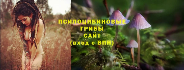 эйфоретик Каменка