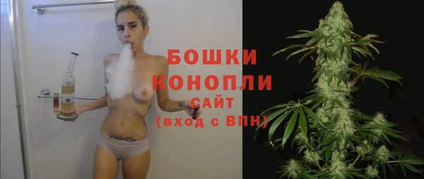 ALPHA PVP Инсар