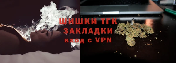 ALPHA PVP Инсар