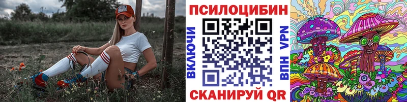 Псилоцибиновые грибы мухоморы  Купить где  Владивосток 